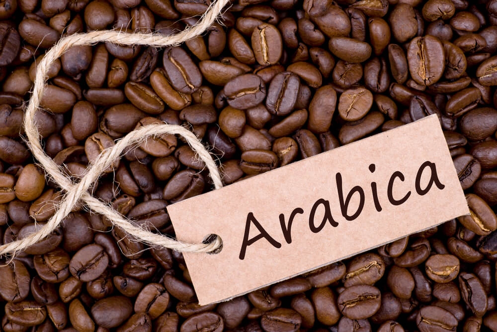 Ca_Phe_Arabica